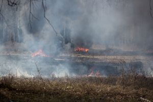 Высокая пожароопасность ожидается в двух районах Новосибирской области