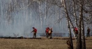 МЧС предупреждает о пожароопасной погоде в двух  районах Новосибирской области