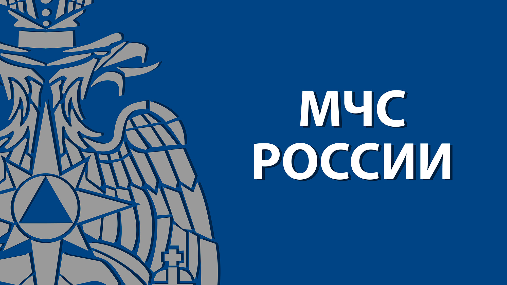 Руководство МЧС России и члены Коллегии ведомства возложили цветы к Могиле Неизвестного Солдата