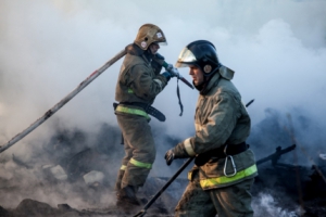 На пожаре в Искитимском районе спасены семеро детей