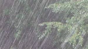 МЧС предупреждает жителей Новосибирской области о надвигающейся непогоде