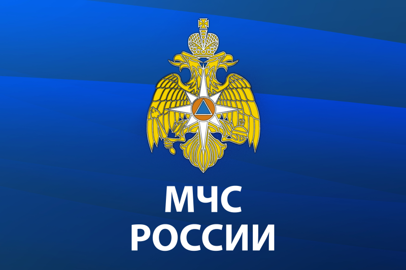 Указом Президента Российской Федерации сотрудники МЧС России награждены государственными наградами
