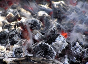  Мангал мог стать причиной крупного пожара в городе Бердске